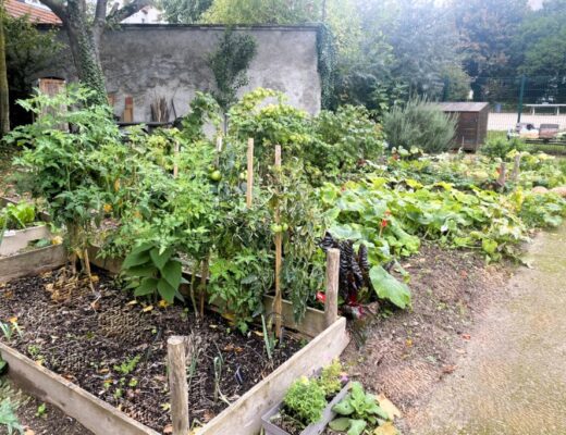 Le Clos Maryse, jardin partagé à Reims