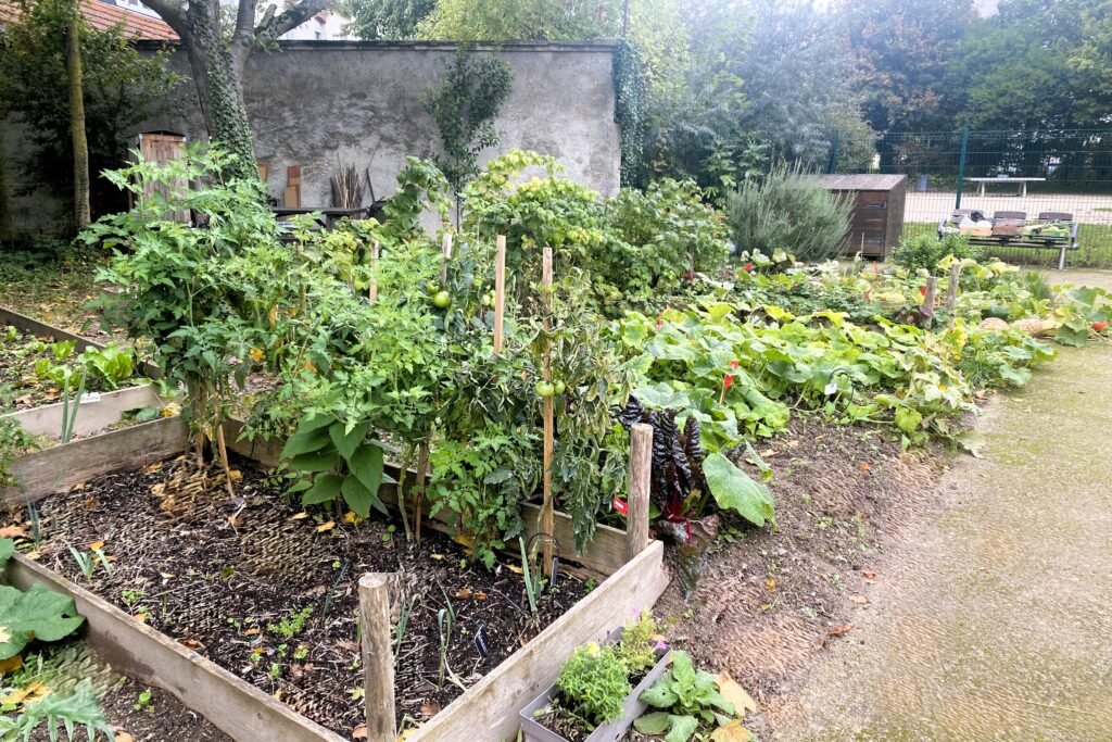 Le Clos Maryse, jardin partagé à Reims