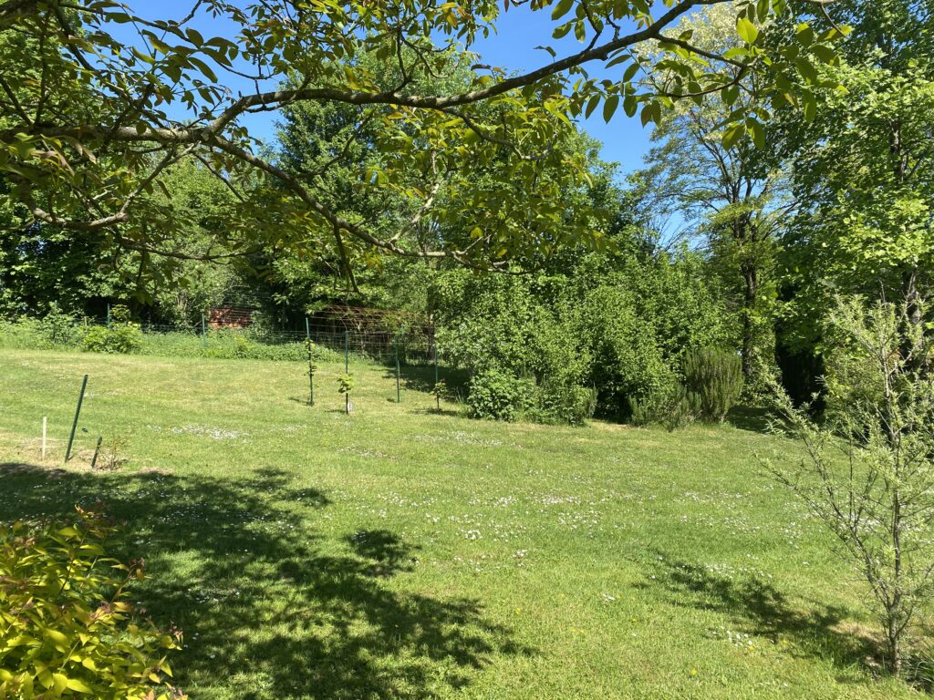 Le jardin de Carine Martinez, Gônelle à Suc'