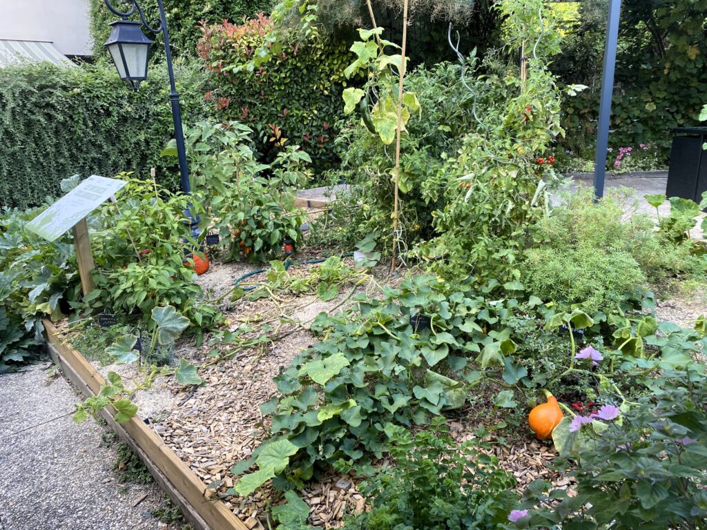 Le potager