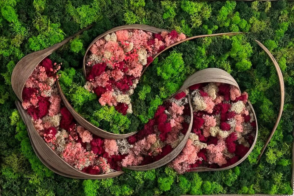 Assemblages de mousses stabilisées