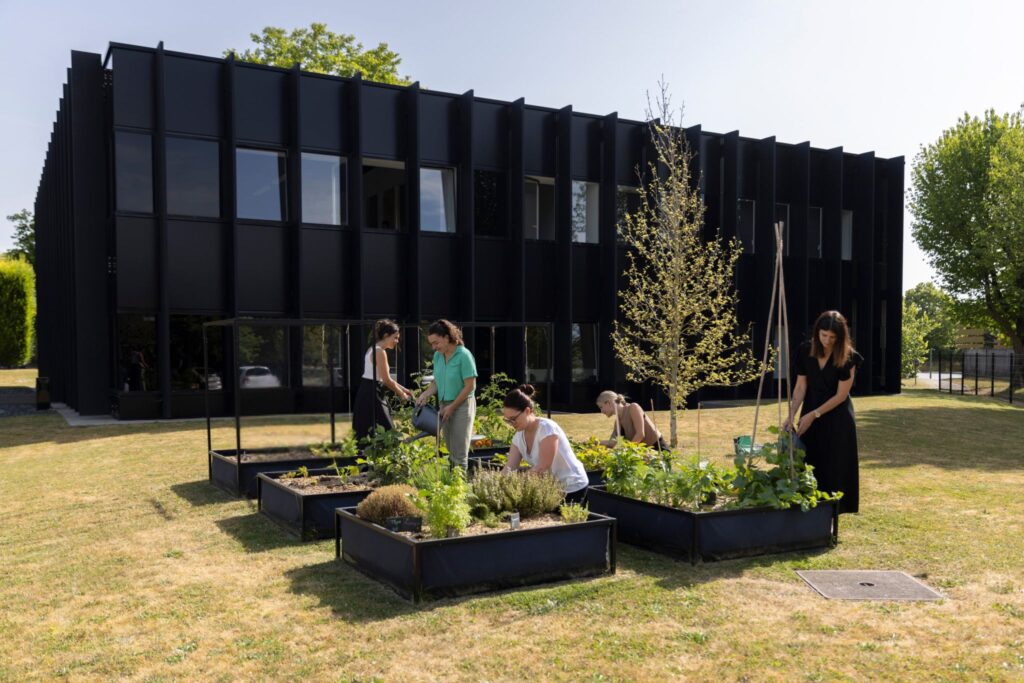 Entretien des bacs du potager