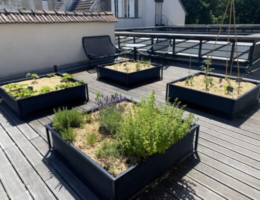Potager collaboratif de l'hôtel de La Paix