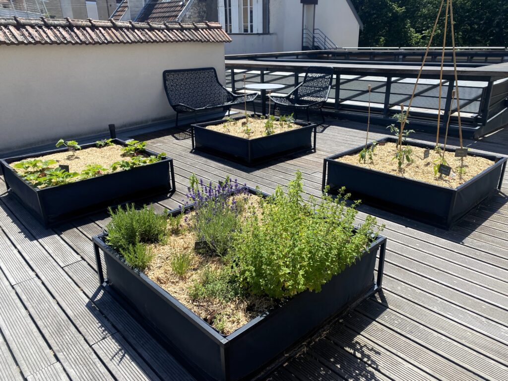 Potager collaboratif de l'hôtel de La Paix