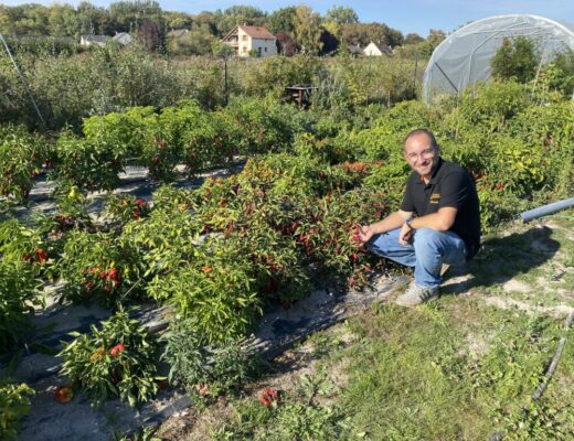 Stéphane Bour, Inferno Peppers, producteur de piments
