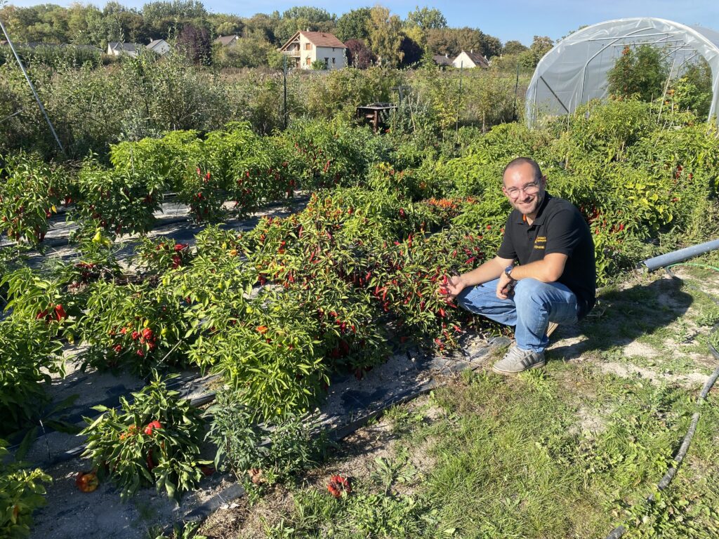 Stéphane Bour, Inferno Peppers, producteur de piments