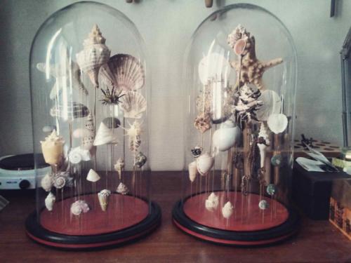 Globes "Coquillages"